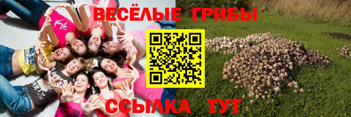 закладка  Вход с VPN  Саров  Псилоцибиновые грибы GOLDEN TEACHER  Псилоцибиновые грибы ЛСД 