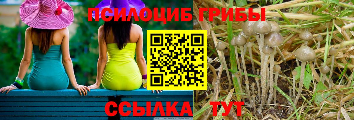 Галлюциногенные грибы MAGIC MUSHROOMS Саров