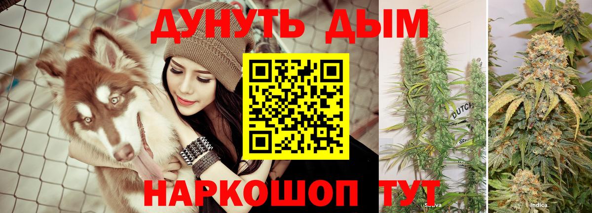 Бошки Шишки VHQ Саров